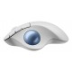 Logitech 910-007030 mouse Office Right-hand Bluetooth Trackball 2000 DPI Logitech 910-007030 mouse Office Right-hand Bluetooth Trackball 2000 DPI