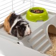 FERPLAST Cavie 80 - Cage