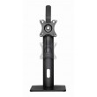 Gembird MS-D1-01 monitor mount / stand 81.3 cm (32