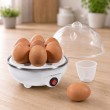 Esperanza EKE001 egg cooker 7 egg(s) 350 W White