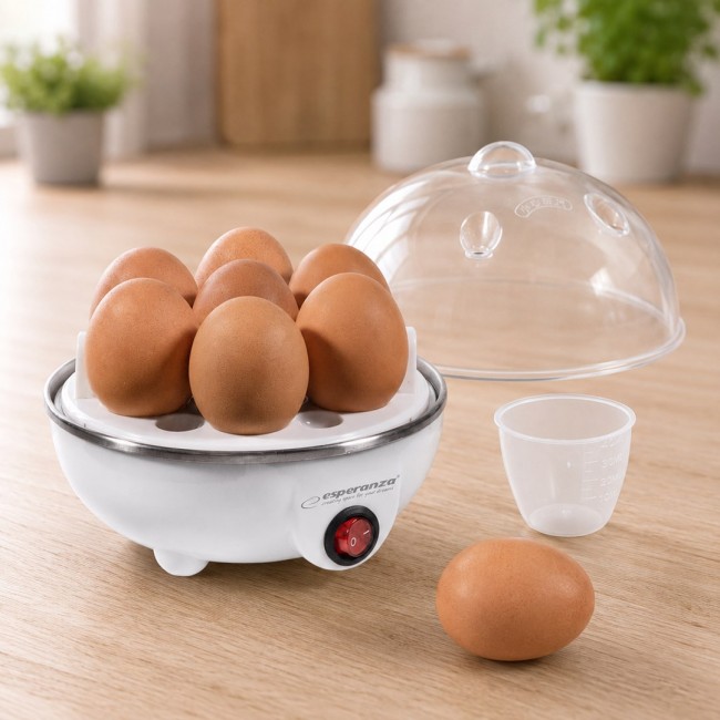 Esperanza EKE001 egg cooker 7 egg(s) 350 W White