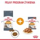 Royal Canin Hair & Skin Care cats dry food 4 kg Adult Royal Canin Hair & Skin Care cats dry food 4 kg Adult