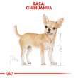 ROYAL CANIN Chihuahua - pack 12x85g ROYAL CANIN Chihuahua - pack 12x85g