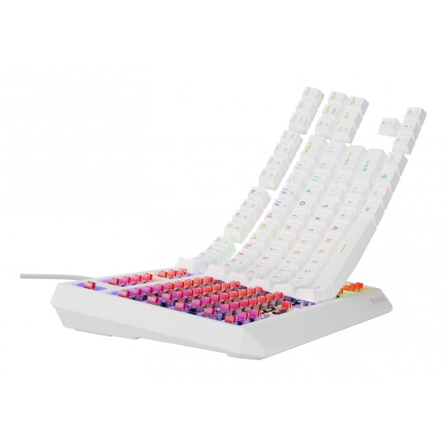GENESIS Thor 230 TKL keyboard Gaming USB