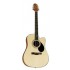 Samick GD-100SC NS - gitara akustyczna