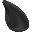 HP Wireless Mouse 920 Ergo Vertical Black