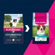 EUKANUBA Adult Small/Medium Rich in lamb & rice - dry dog food - 12kg EUKANUBA Adult Small/Medium Rich in lamb & rice - dry dog food - 12kg