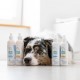 VETEXPERT Clinic Care microBiome Balance - shampoo for dogs and cats - 250 ml