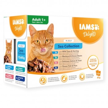 IAMS DELIGHTS Adult Sea in Jelly box wet cat food 12x85g