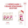 ROYAL CANIN Exigent Fussy - dry cat food - 4kg