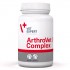 VETEXPERT ArthroVet Complex - supplements for dogs and cats - 90 tablets