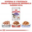 ROYAL CANIN FHN Sterilised in sauce - wet food for adult cats - 12x85g