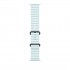 Apple 49mm Ice Blue Ocean Band - Black Titanium Finish