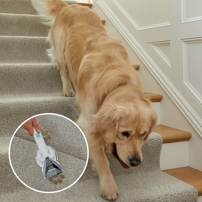 Sharkclean PX200EUT carpet cleaning machine Handheld Deep/interim White Sharkclean PX200EUT carpet cleaning machine Handheld Deep/interim White