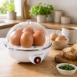 Esperanza EKE001 egg cooker 7 egg(s) 350 W White