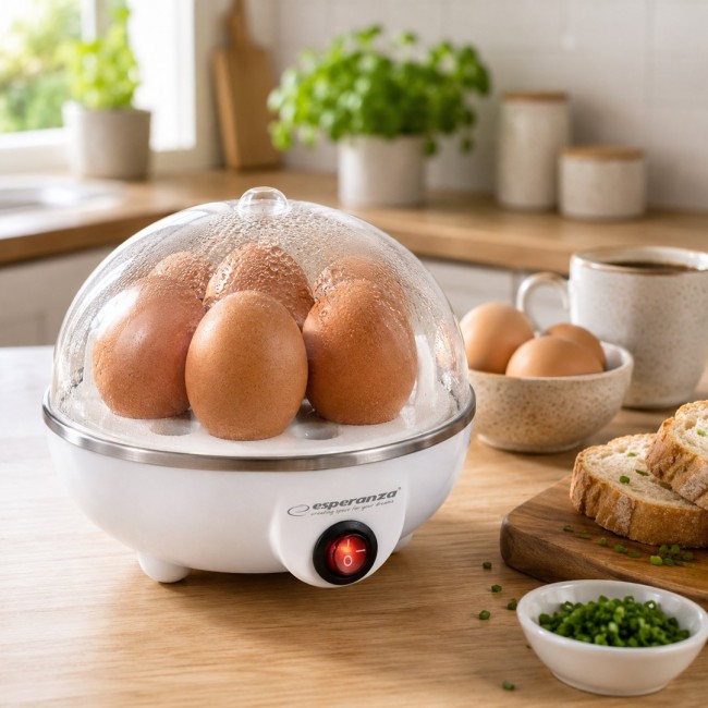 Esperanza EKE001 egg cooker 7 egg(s) 350 W White