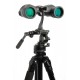Celestron LandScout 8x40 Porro binocular BaK-4 Porro Black