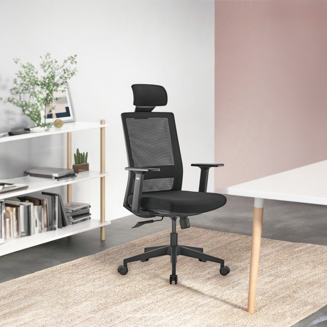 Premium Ergonomic Office Chair with High Back Ergo Office, max 150kg, ER-425