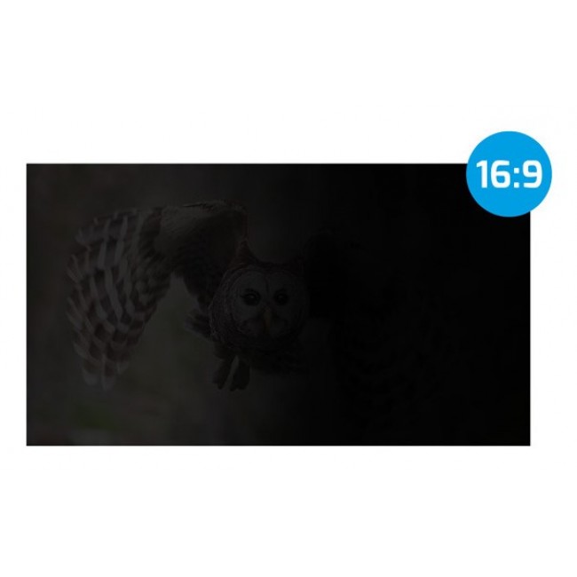 NATEC NFP-2288 display privacy filter 43.9 cm (17.3 NATEC NFP-2288 display privacy filter 43.9 cm (17.3