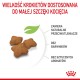 Royal Canin Kitten Sterilised cats dry food 3.5 kg Poultry Royal Canin Kitten Sterilised cats dry food 3.5 kg Poultry