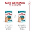 ROYAL CANIN Ageing 11+ Chunks in gravy - wet cat food - 12x85g