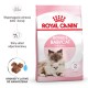 Royal Canin Mother & Babycat cats dry food 2 kg