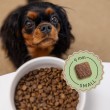 ADDVENA Boosted by superfoods Adult Small Beef - dry dog food - 2,5kg
