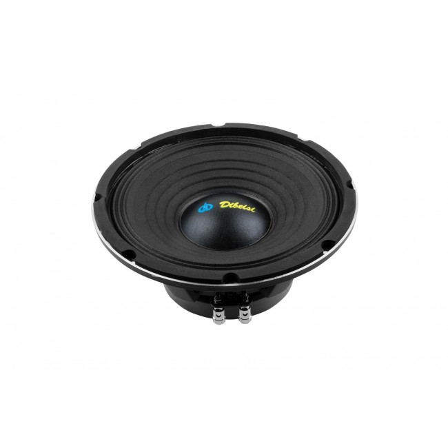 Dibeisi 10-inch Speaker model DBS-PS1005-8
