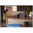 LEGO TECHNIC 42173 Koenigsegg Jesko Absolute Grey Hypercar