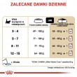 ROYAL CANIN Maine Coon Kitten- dry cat food - 4 kg