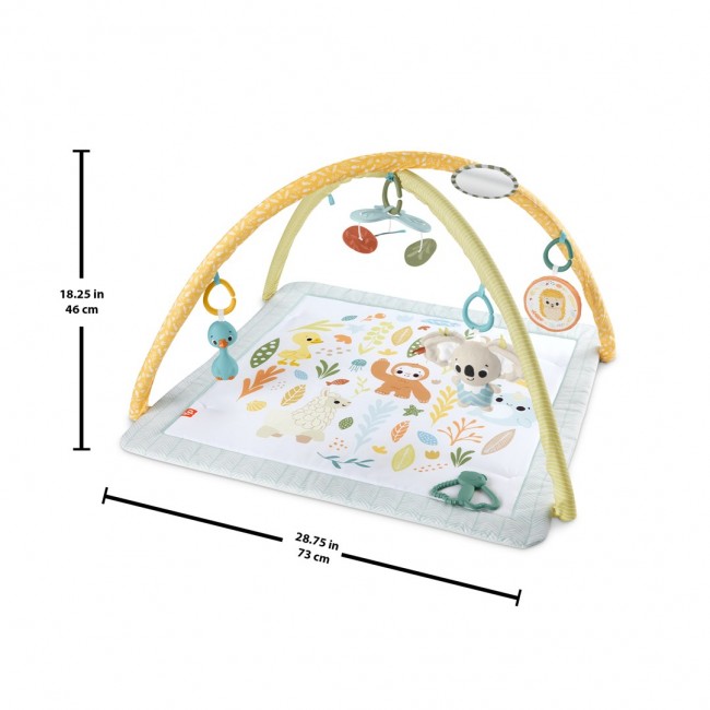 Fisher-Price Simply Senses Newborn Gym Baby Activity Mat with 6 Sensory Toys