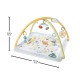 Fisher-Price Simply Senses Newborn Gym Baby Activity Mat with 6 Sensory Toys