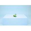 LEGO CREATOR 3 IN 1 31384 Wild Animals: Colorful Hummingbird LEGO CREATOR 3 IN 1 31384 Wild Animals: Colorful Hummingbird