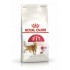 Royal Canin Feline Fit 2kg cats dry food Adult