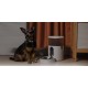 Aqara PETC1-M01 dog/cat feeder/waterer Plastic White Universal Automatic pet feeder