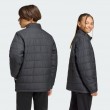 Adidas JZ9124_480 coat/jacket