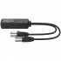Turtle Dual XLR Output - two-channel Dante digital-to-analogue XLR adapter