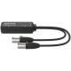 Turtle Dual XLR Output - two-channel Dante digital-to-analogue XLR adapter