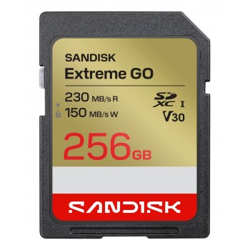 SanDisk Extreme GO 256 GB SDXC UHS-I