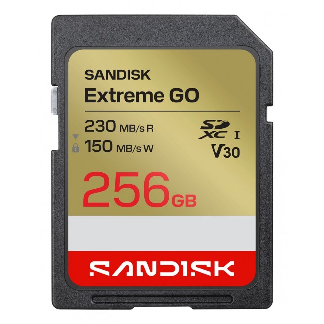 SanDisk Extreme GO 256 GB SDXC UHS-I SanDisk Extreme GO 256 GB SDXC UHS-I