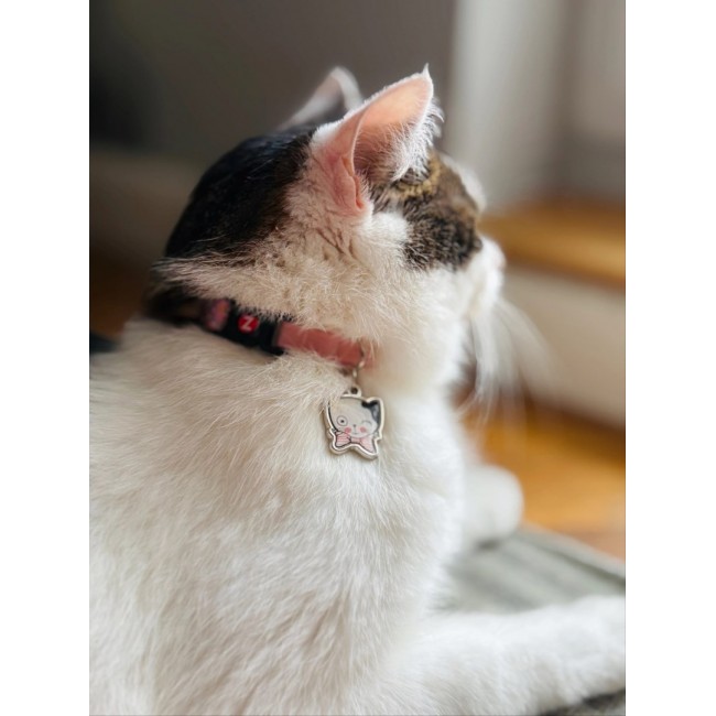 ZOLUX Chatouille pink - cat collar