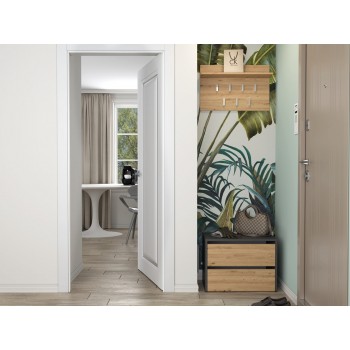 Topeshop MODO ANT/ART shoe organizer Closed Anthracite, Oak