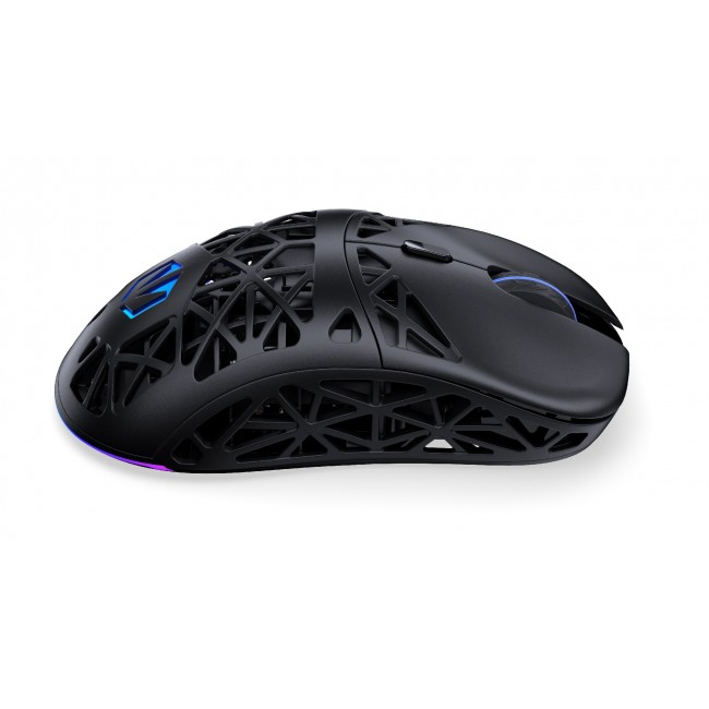 ENDORFY EY6A016 mouse Gaming Right-hand Bluetooth Optical 26000 DPI