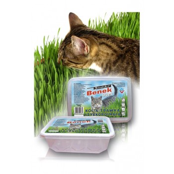 Certech 10319 pet grass seed Cat