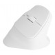 NATEC Crake 2 mouse Universal Right-hand RF Wireless + Bluetooth Optical 2400 DPI NATEC Crake 2 mouse Universal Right-hand RF Wireless + Bluetooth Optical 2400 DPI