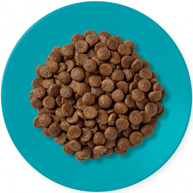 APPLAWS Adult Ocean fish with salmon - dry cat food - 1,8kg APPLAWS Adult Ocean fish with salmon - dry cat food - 1,8kg