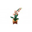 LEGO ICONS 10343 The Botanical Collection - Mini Orchid