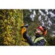 18V XR Brushless Hedge Trimmer 55cm, Carton