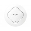 DrayTek VigorAP 912C Access Point DrayTek VigorAP 912C Access Point