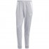 Spodnie męskie adidas Tiro 24 Sweat szare IS2153 XL